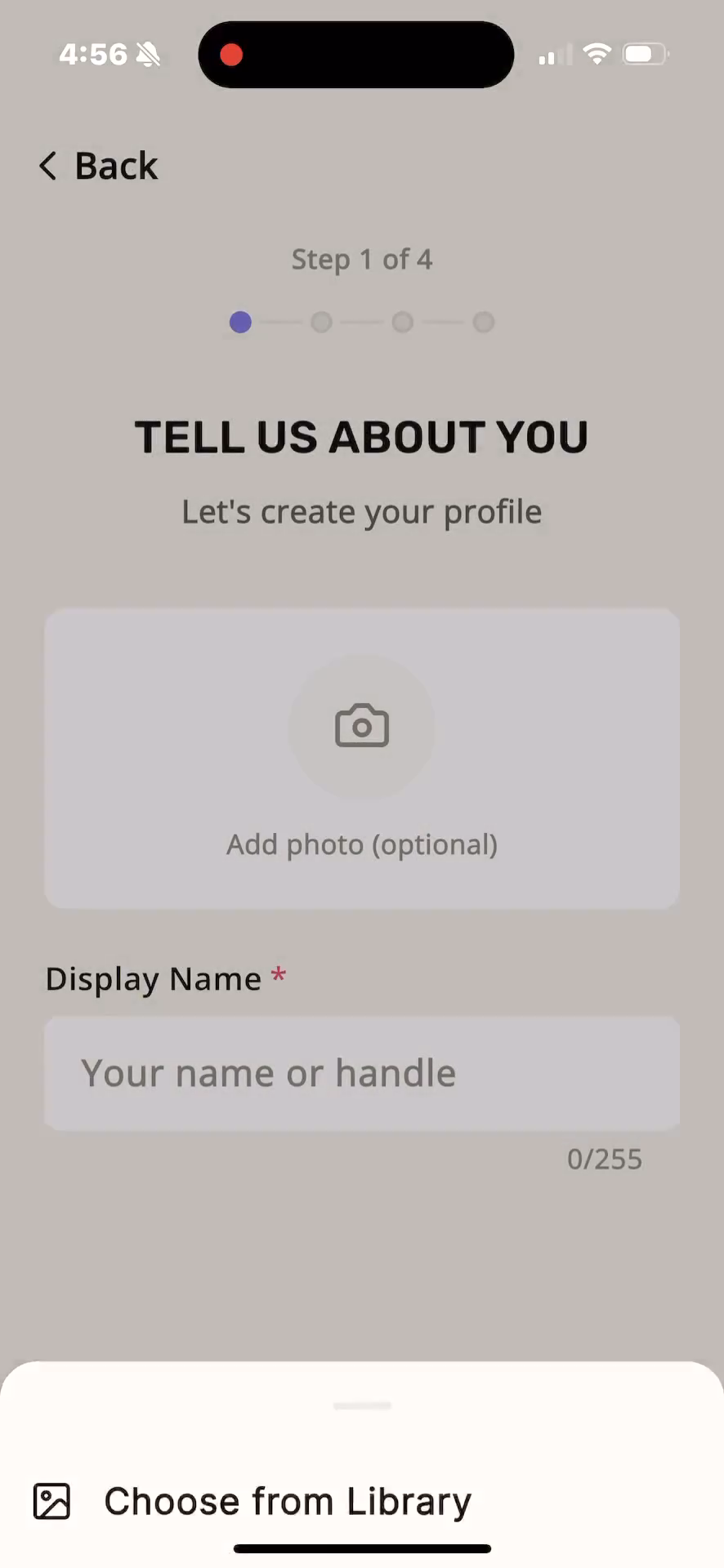Step #3: Enter your display name or handle in the designated text field.
