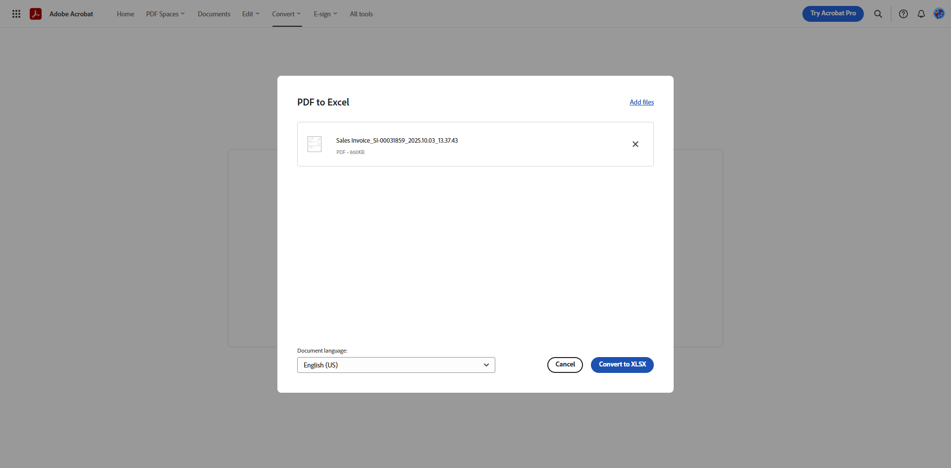 Step #5: Click on "Convert to XLSX"