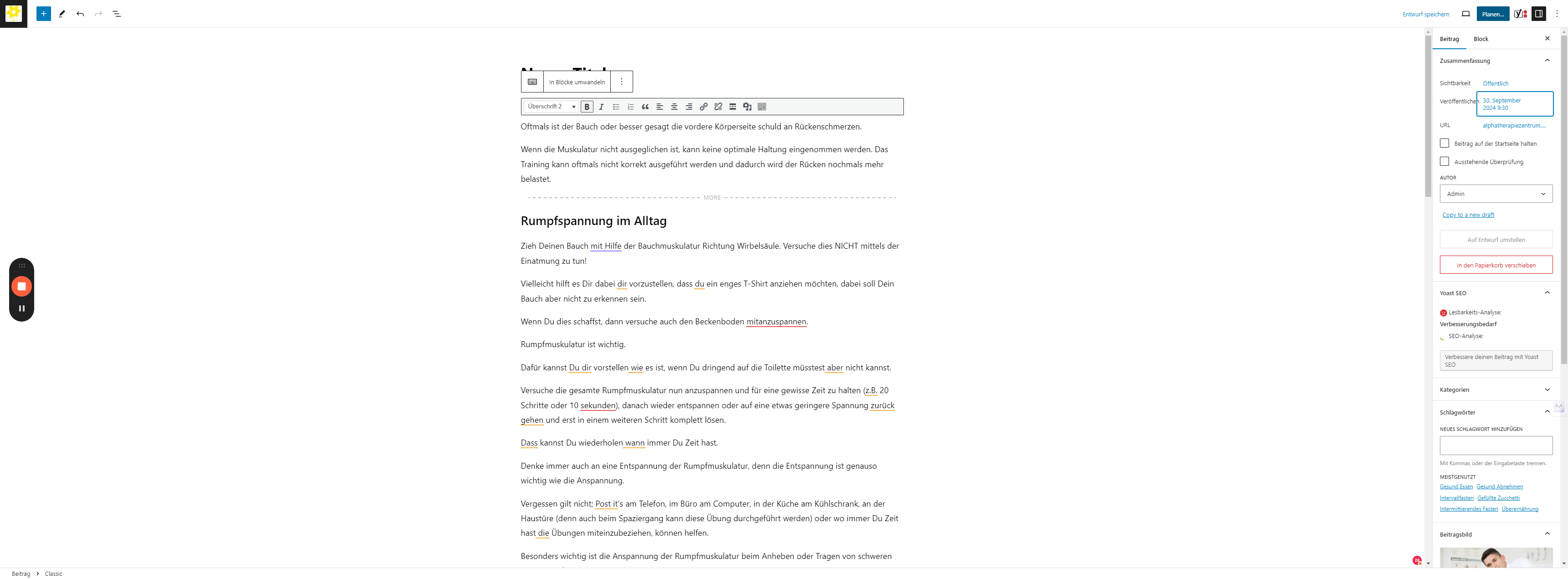 Step #19: Klicken Sie auf "Planen", um die Veröffentlichung des Beitrags mit dem gesetzten Datum einzuplanen.