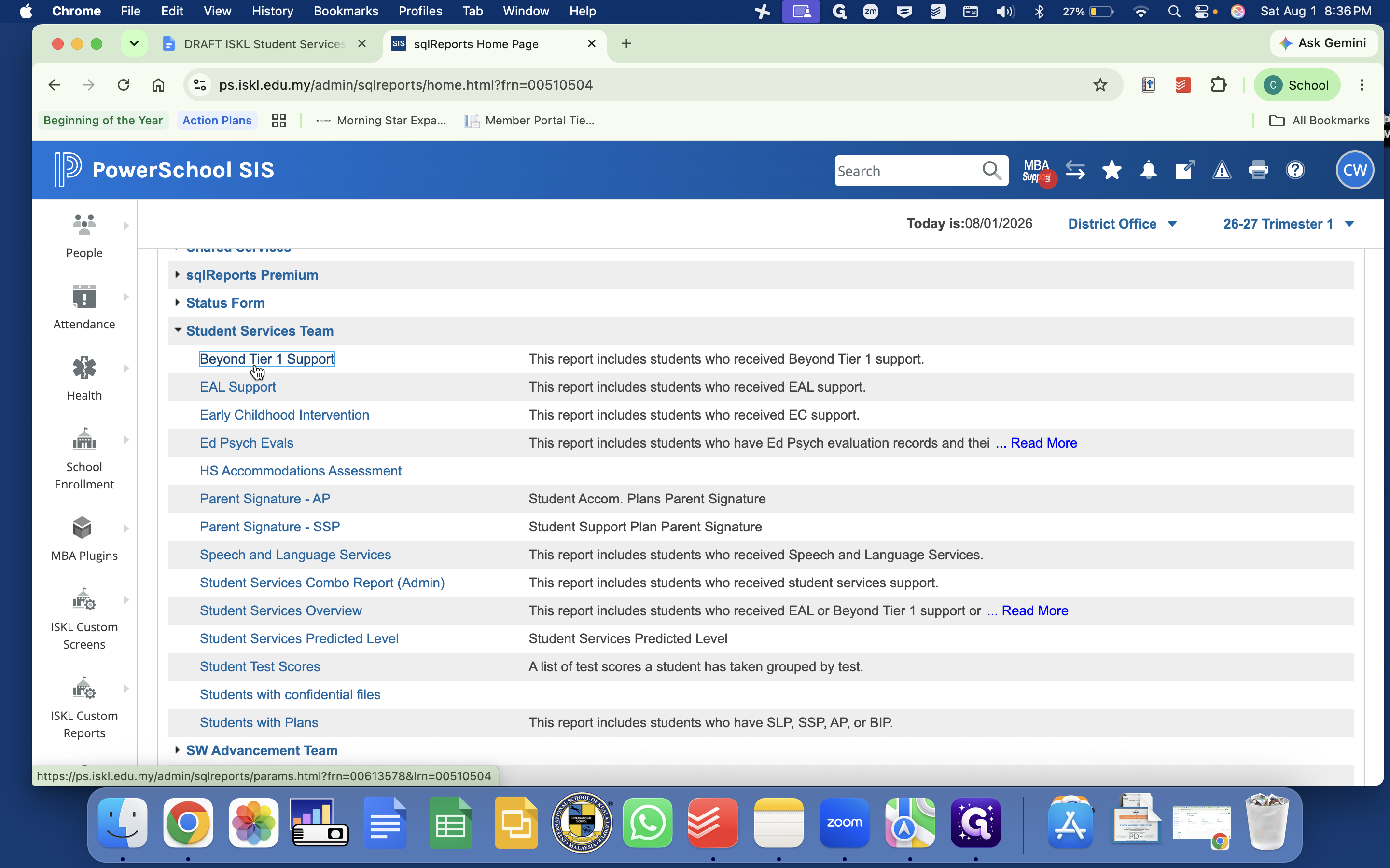 Step #4: Select the Beyond Tier 1 Support report.