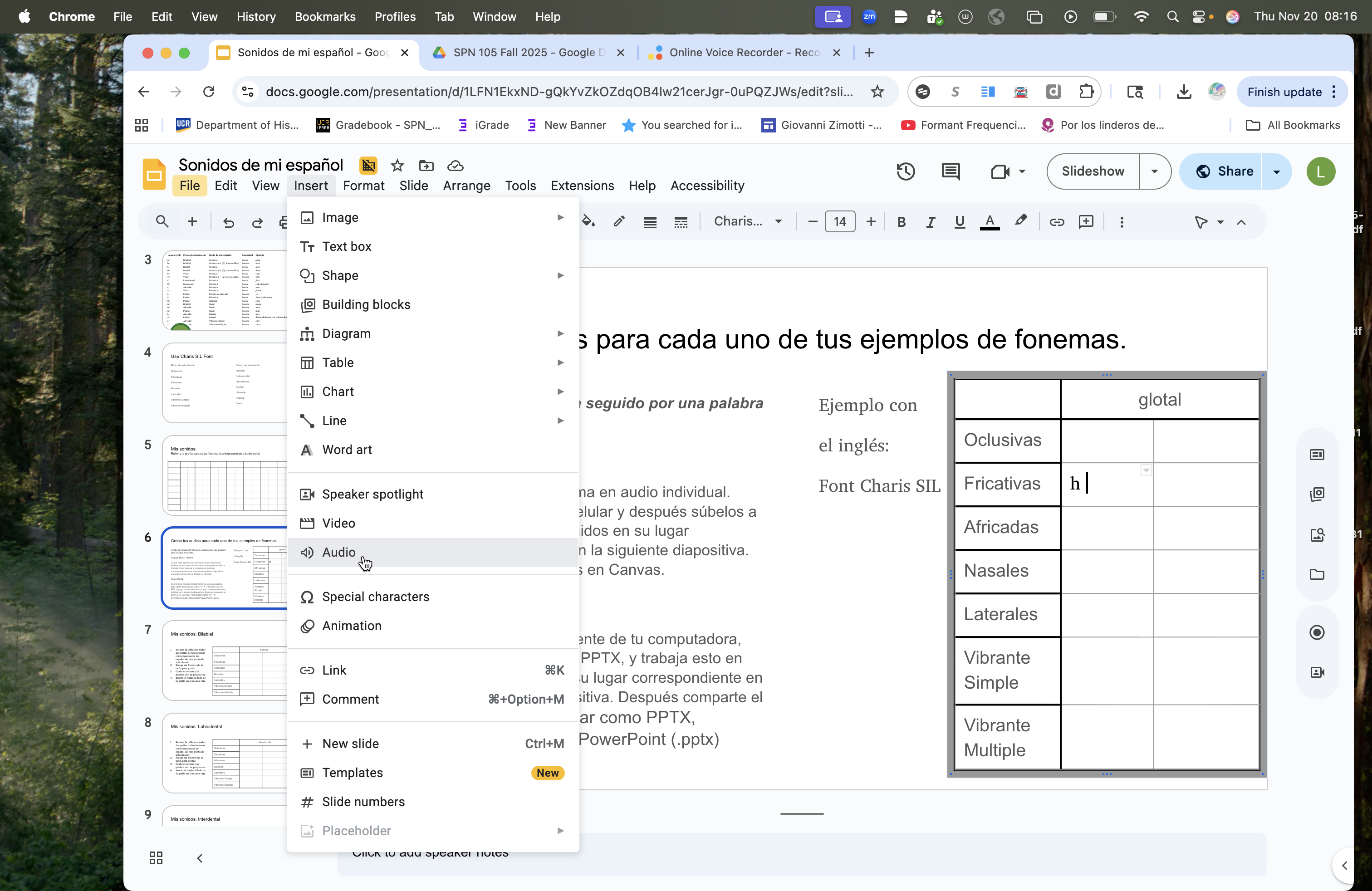 Step #19: Hago clic en "Audio"