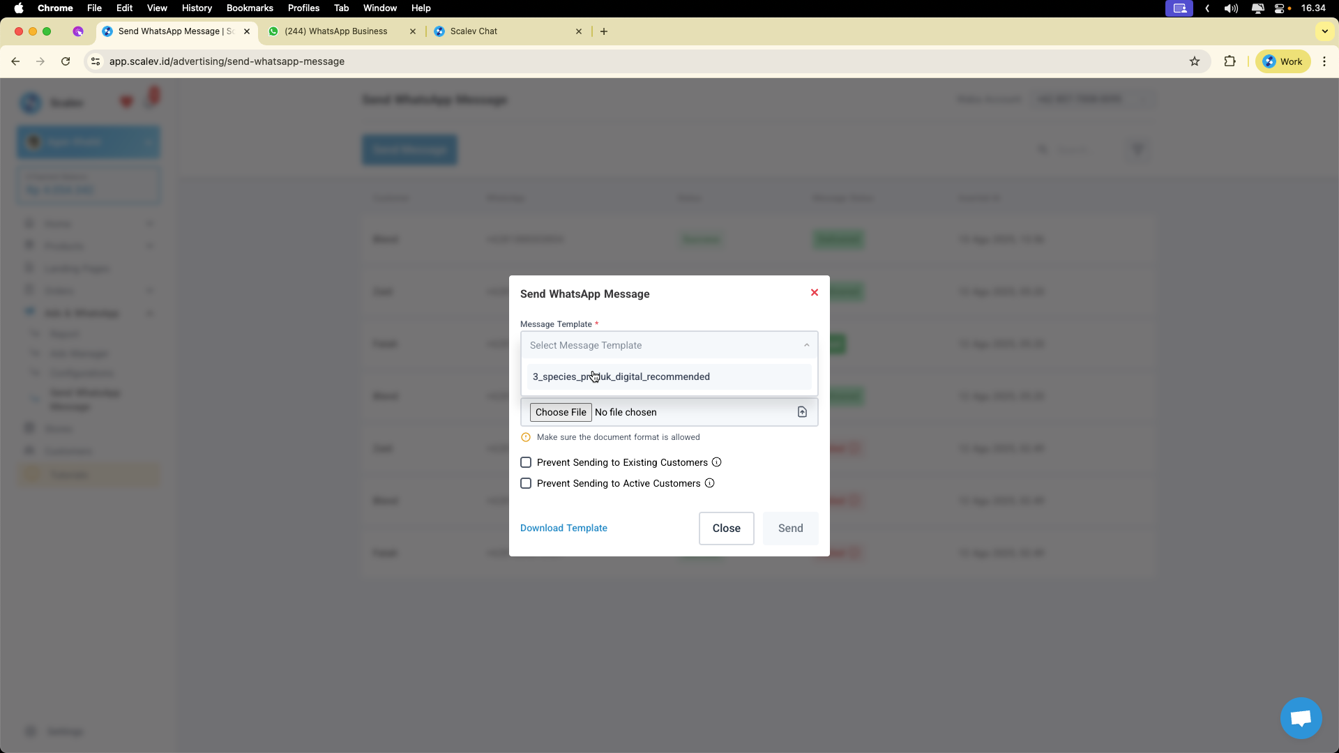 Step #5: Pilih template yang sudah diapparove sebelumnya oleh pihak Meta