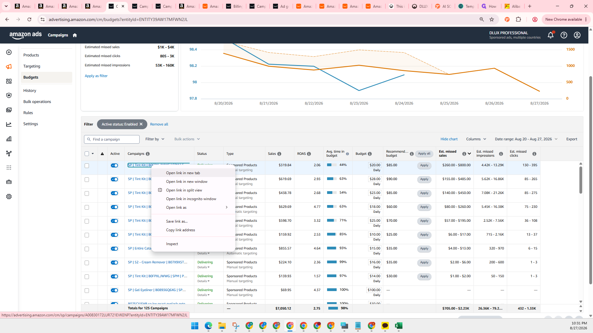 Step #6: Click Open link in new tab to view the campaign without losing your place in the Budgets view.