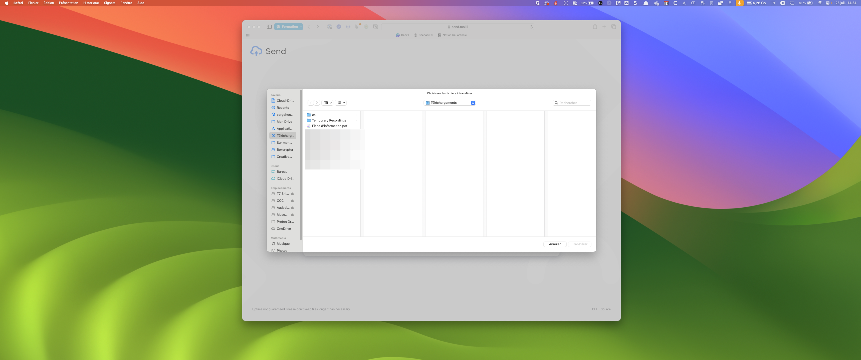 Step #3: Glissez/déposez sur le fichier que vous souhaitez transférer dans l'interface SEND.