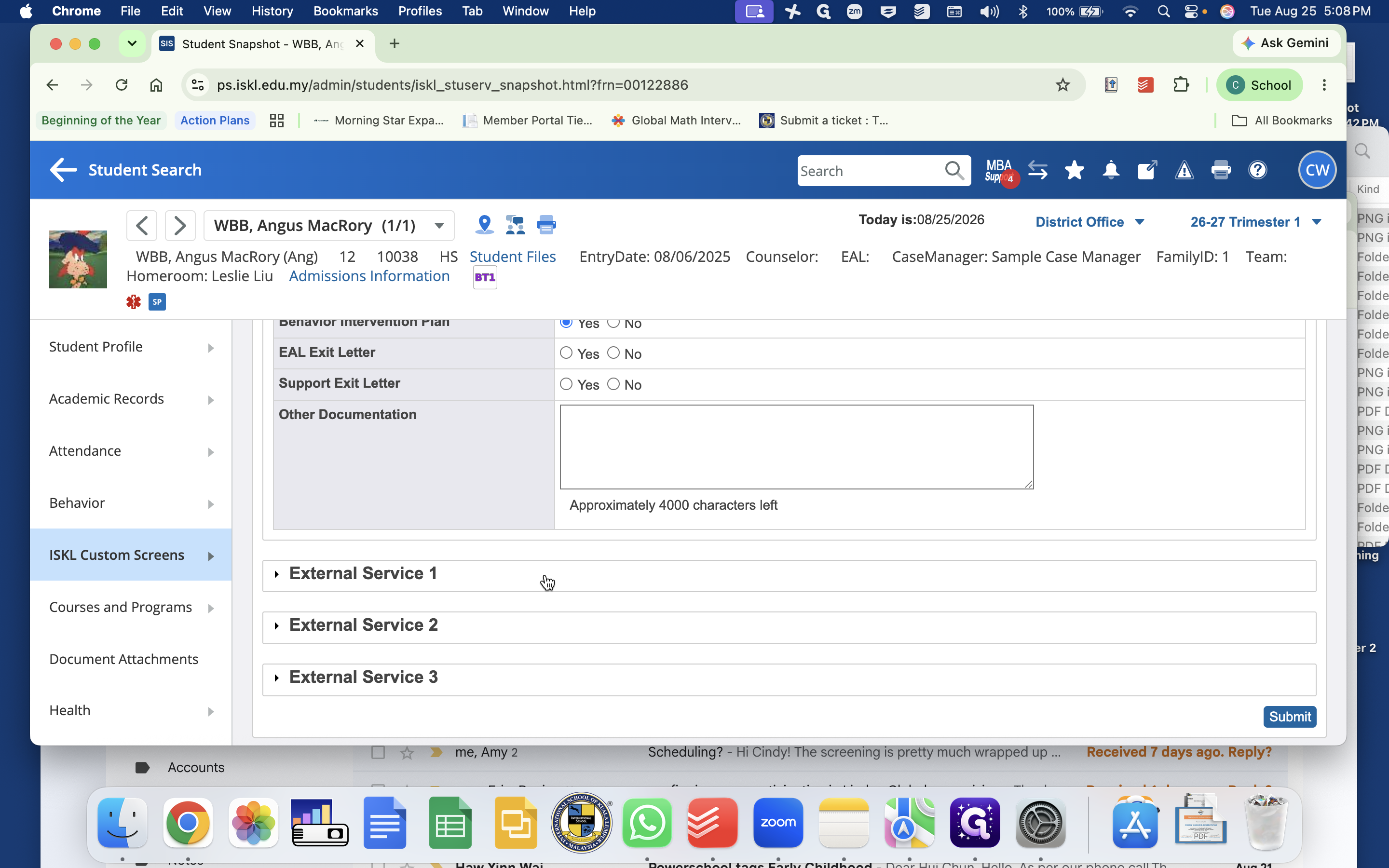 Step #14: Click External Service 1 to log external providers, occupational therapy, counseling partnerships, and consent-to-exchange status.