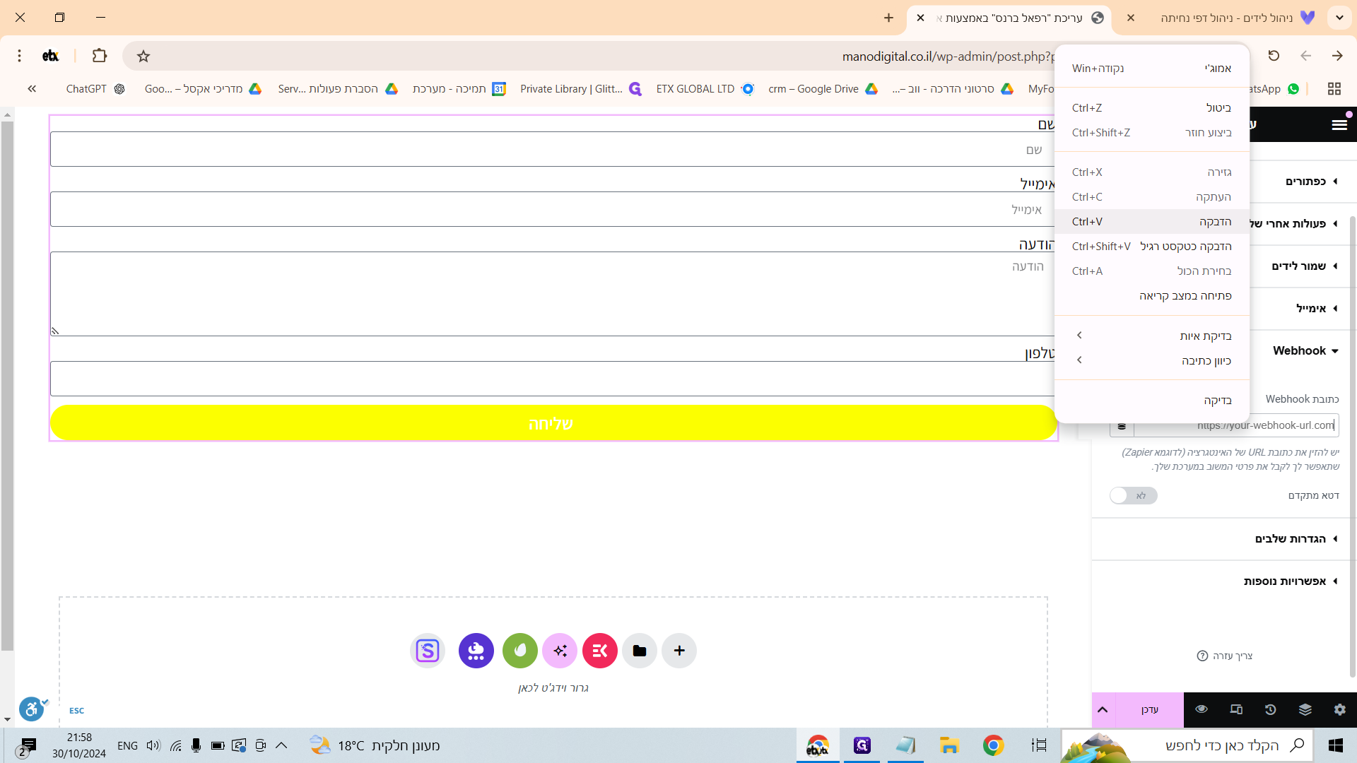 Step #17: ותדביקו את ה "Webhook" בעמודה בWordpress