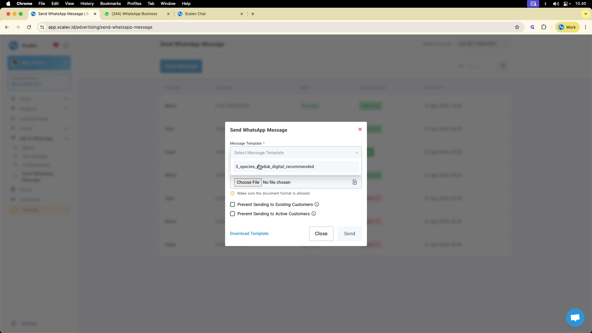 Step #6: Contoh: Saya memilih template "3_species_produk_digital_recommended".