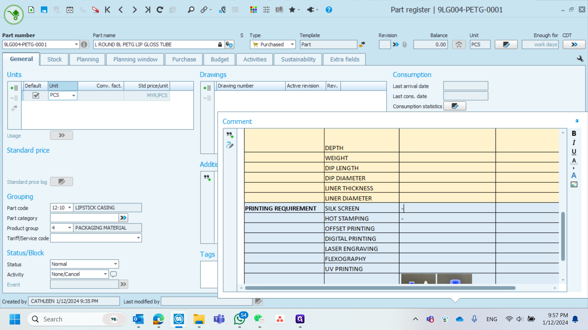 Step #6: For the Printing Requirement, simply indicate “NA” or use a dash.