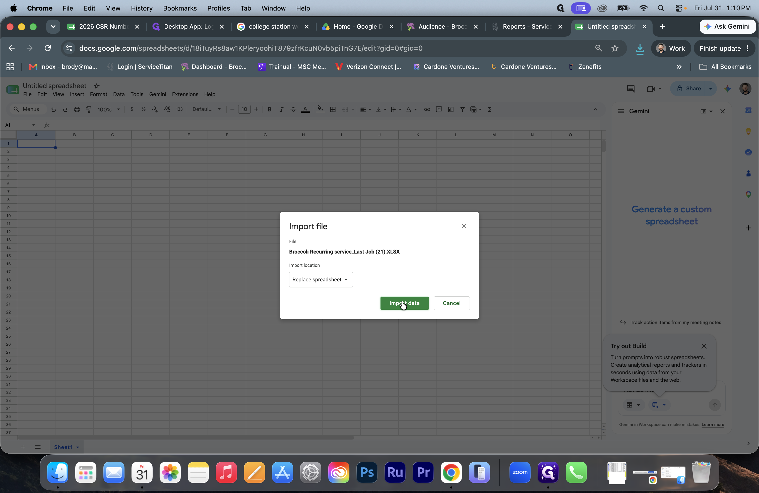 Step #10: Click Import data to populate the spreadsheet.