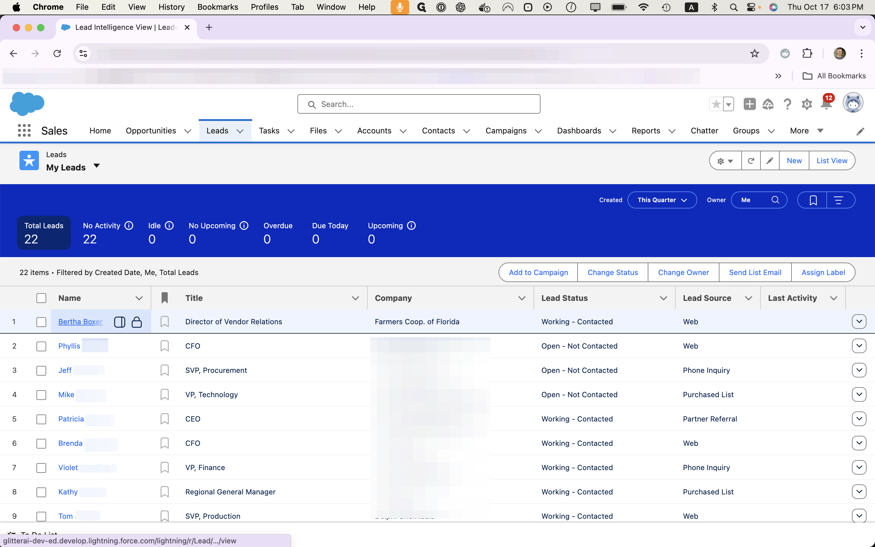 Step #1: From the "Leads" tab our Salesforce instance, locate your lead. In this case, "Bertha Boxer"