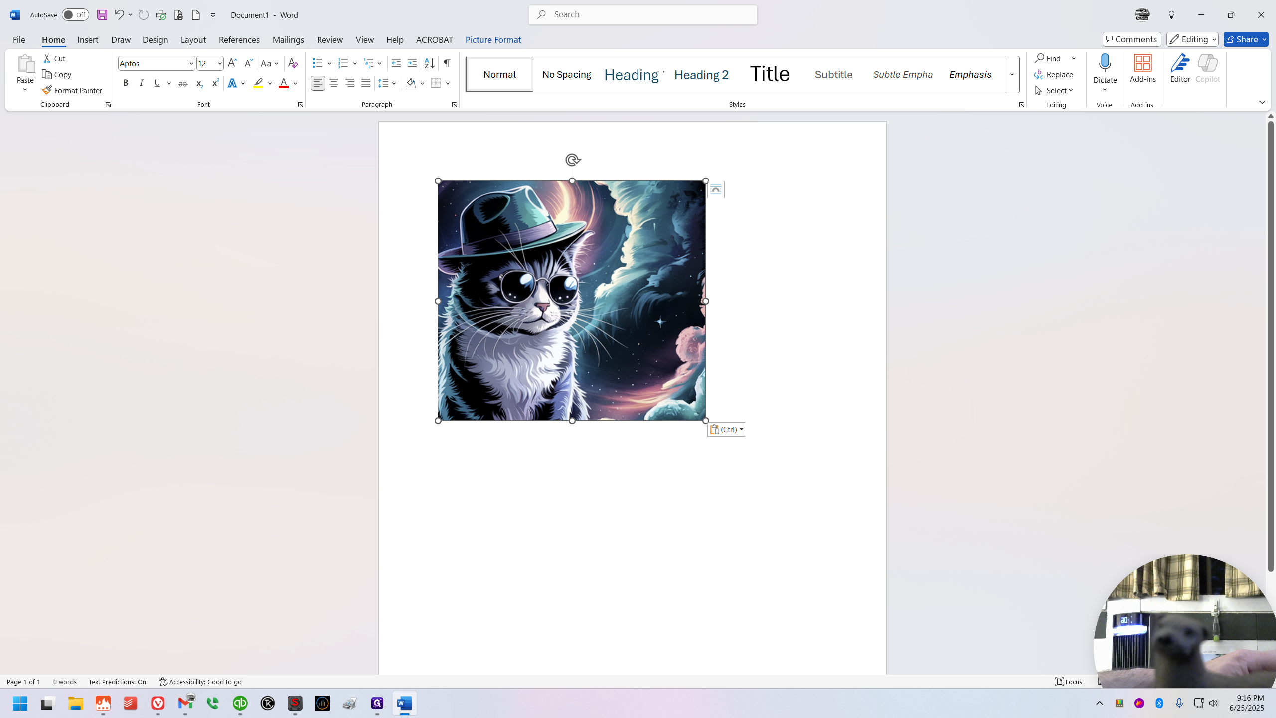 Step #9: Behold, yonder puss - he watcheth with contentedness 👍